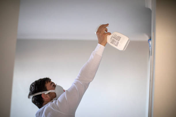 Best Home Mold Removal  in Suncrest, WA