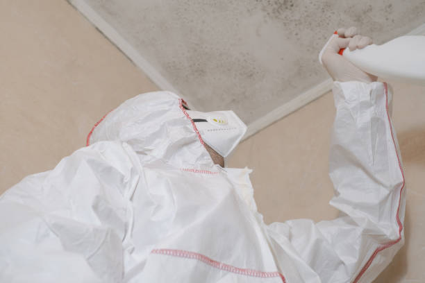 Best Residential Mold Removal  in Suncrest, WA