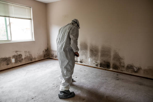 Best Mold Testing  in Suncrest, WA